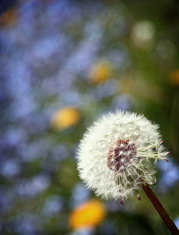 IMG_8562b